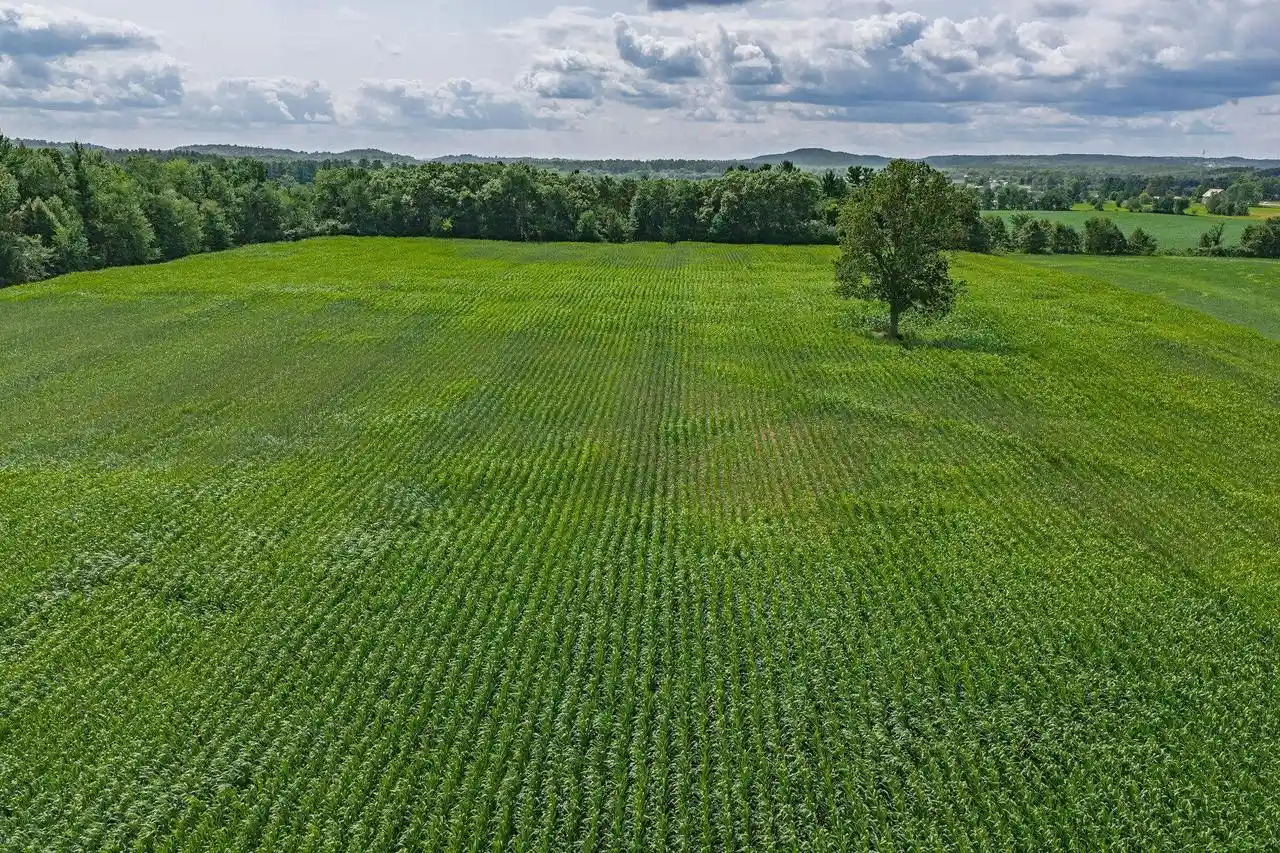 Photo 3 of Sale Pending at 39 Acres N Reedsburg Road Road, Reedsburg, WI 53959 | MLS# 2028948 | Listing updated on 2026-09-14