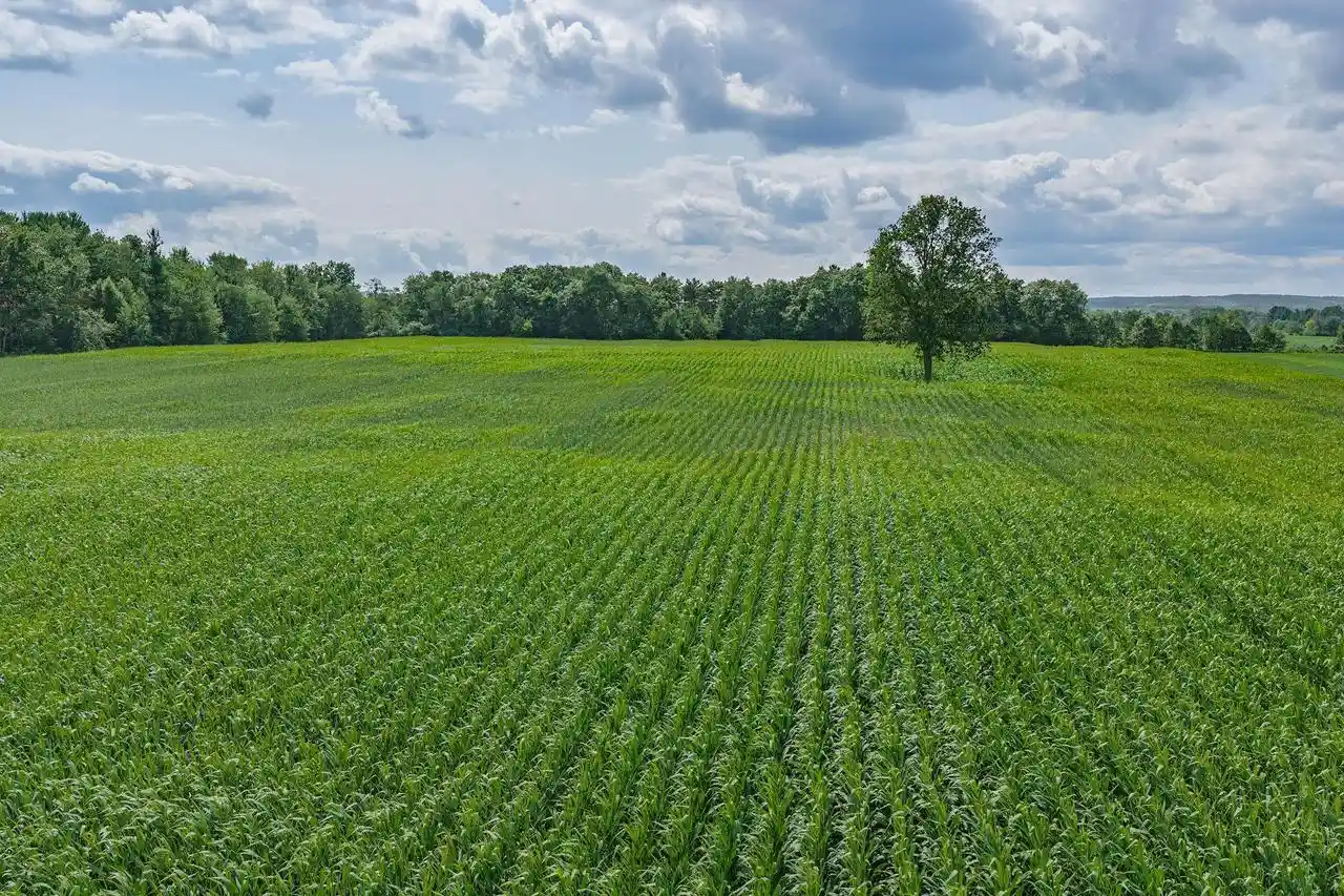 Photo 3 of Sale Pending at 39 Acres N Reedsburg Road Road, Reedsburg, WI 53959 | MLS# 2028948 | Listing updated on 2026-09-14