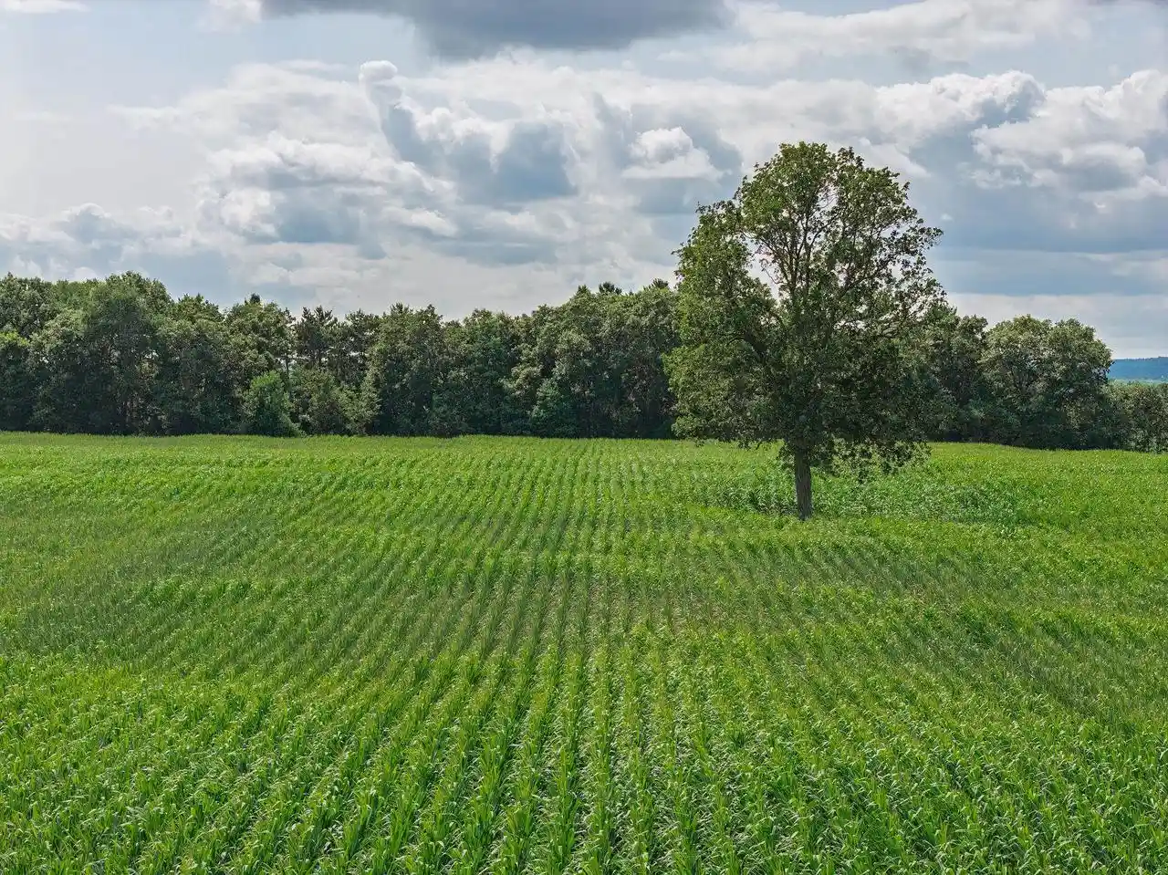 Photo 4 of Sale Pending at 39 Acres N Reedsburg Road Road, Reedsburg, WI 53959 | MLS# 2028948 | Listing updated on 2026-09-14