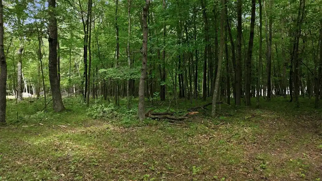 3rd image of Lot 7 Peace Lane Lane, Spooner, WI 54801 | MLS# 1603618