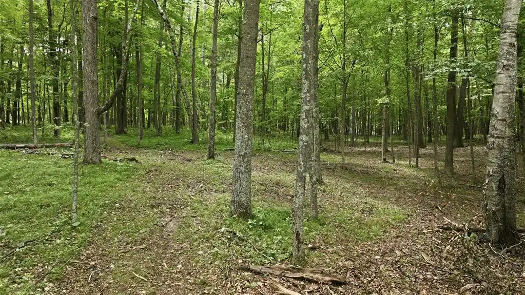 4th image of Lot 7 Peace Lane Lane, Spooner, WI 54801 | MLS# 1603618