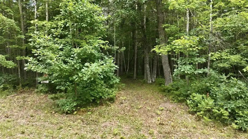 5th image of Lot 7 Peace Lane Lane, Spooner, WI 54801 | MLS# 1603618