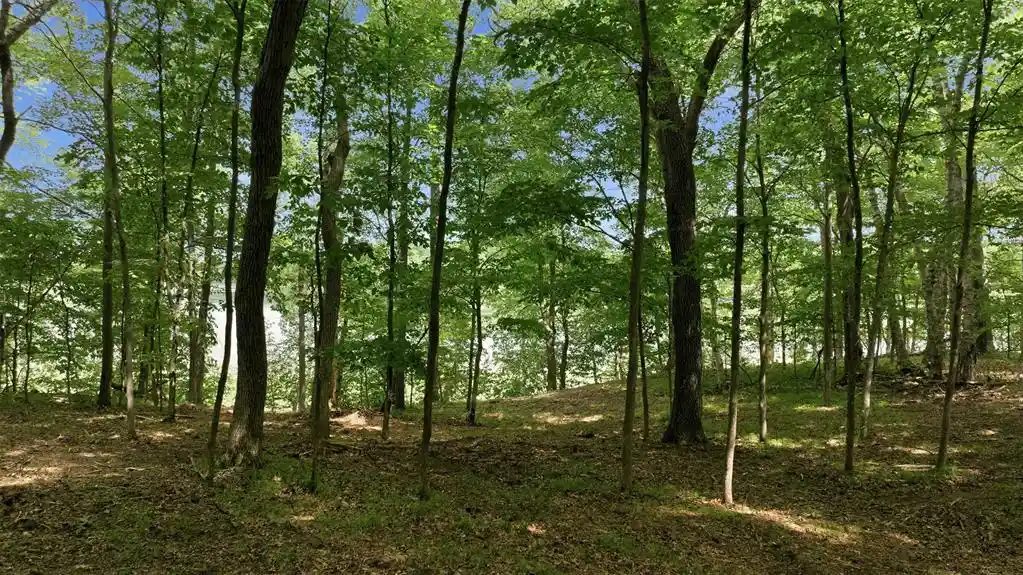 25th image of Lot 7 Peace Lane Lane, Spooner, WI 54801 | MLS# 1603618