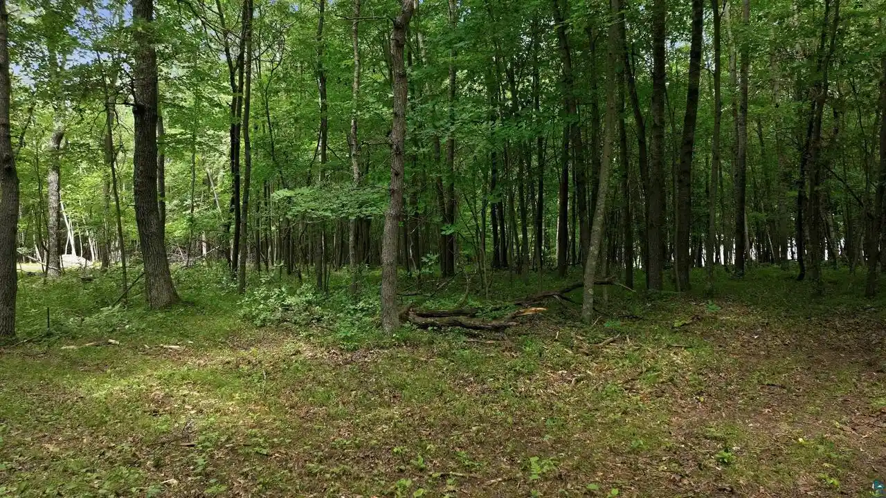3rd image of Lot 7 Peace Ln Ln, Spooner, WI 54801 | MLS# 6126990