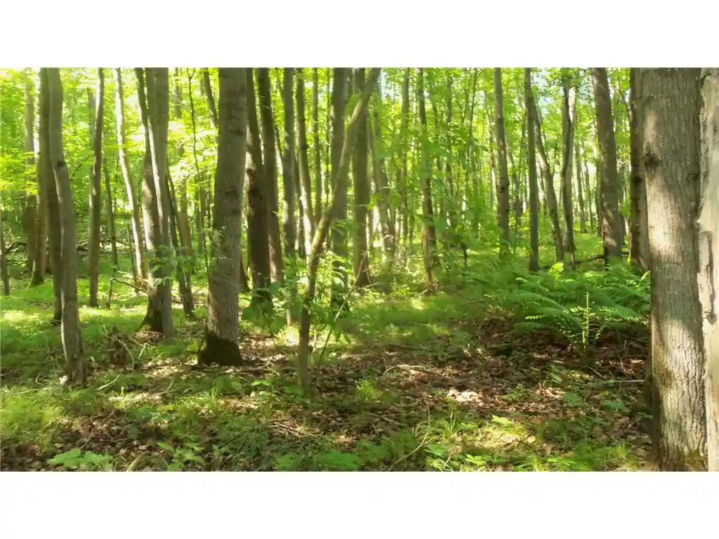Photo 2 of Land for sale at Lot 5 Howard Johnson Rd, Siren, WI 54872 | MLS# 7116262 | Listing updated on 2026-09-23