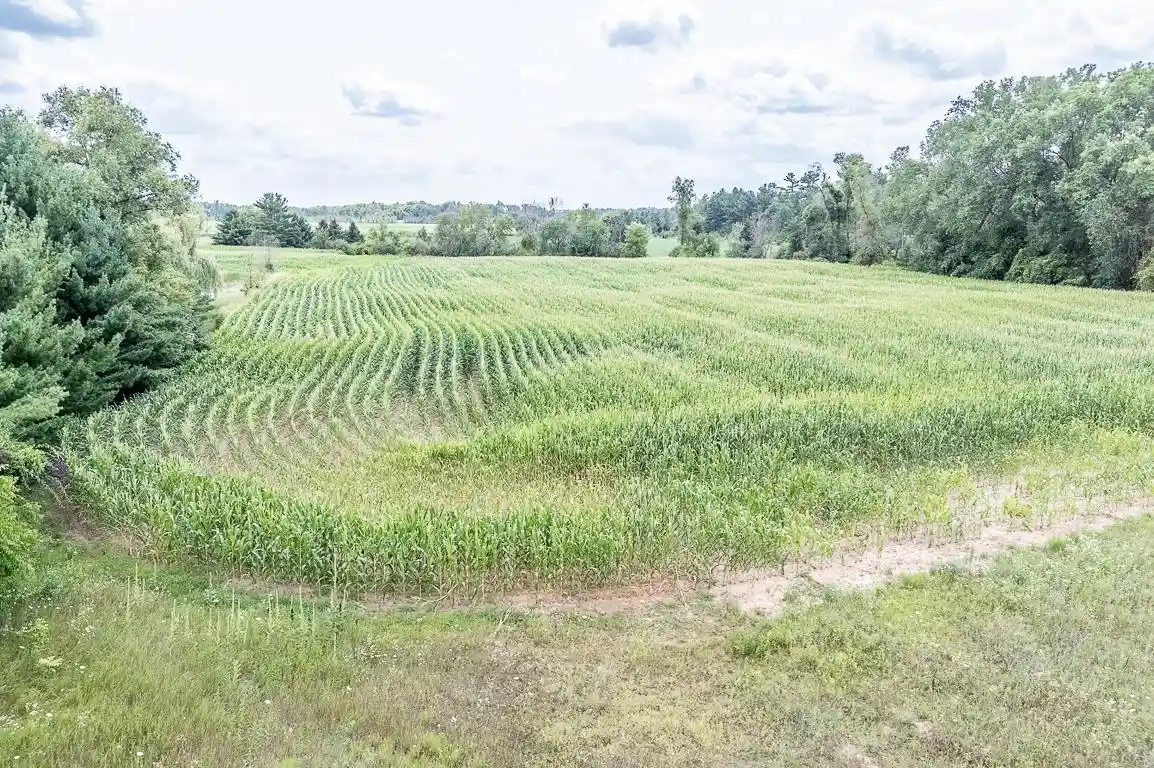 5th image of Lyons Road Road, New London, WI 54961 | MLS# 50329823