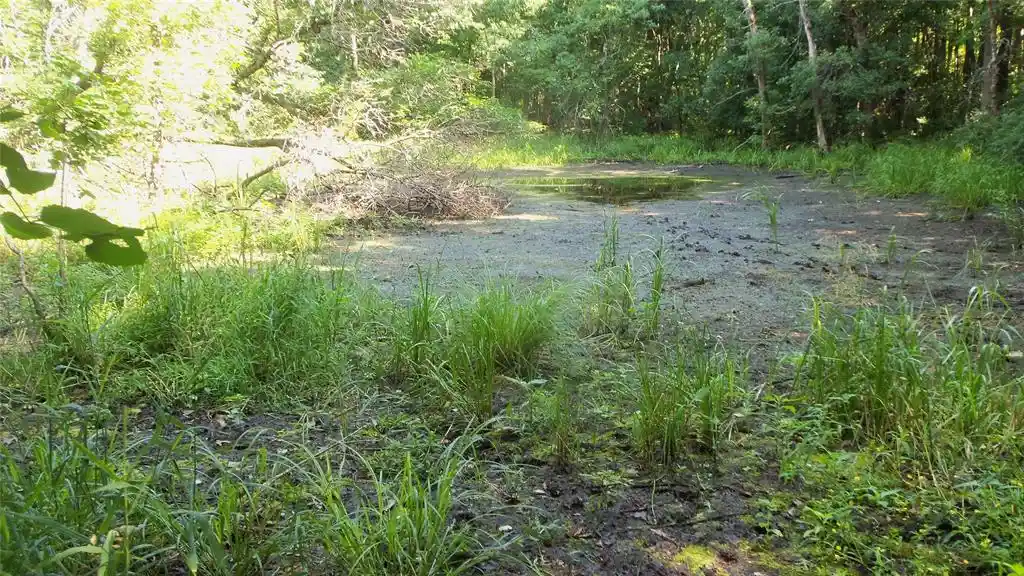 Photo 2 of Land for sale at Lot 2 Howard Johnson Trl, Siren, WI 54872 | MLS# 1603641 | Listing updated on 2026-09-14