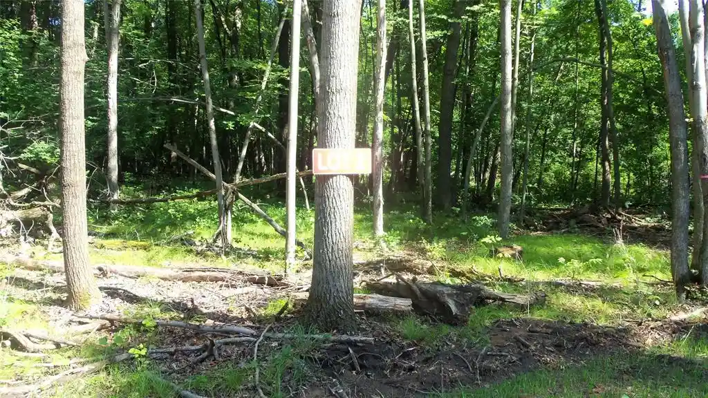 Photo 4 of Land for sale at Lot 2 Howard Johnson Trl, Siren, WI 54872 | MLS# 1603641 | Listing updated on 2026-09-14