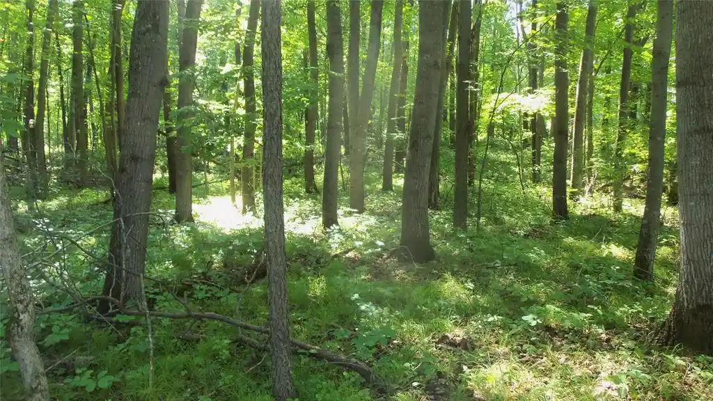 Photo 3 of Land for sale at Lot 5 Howard Johnson Trl, Siren, WI 54872 | MLS# 1603646 | Listing updated on 2026-09-14