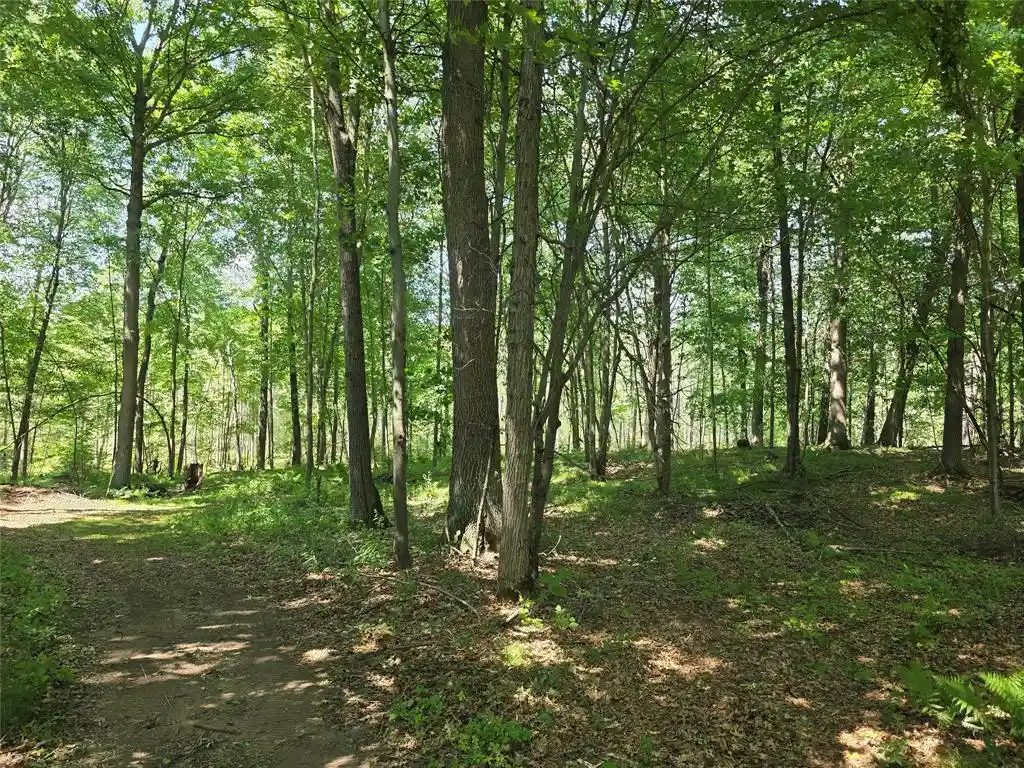 3rd image of 660 27 3/4 Street Street, Chetek, WI 54728 | MLS# 1603625