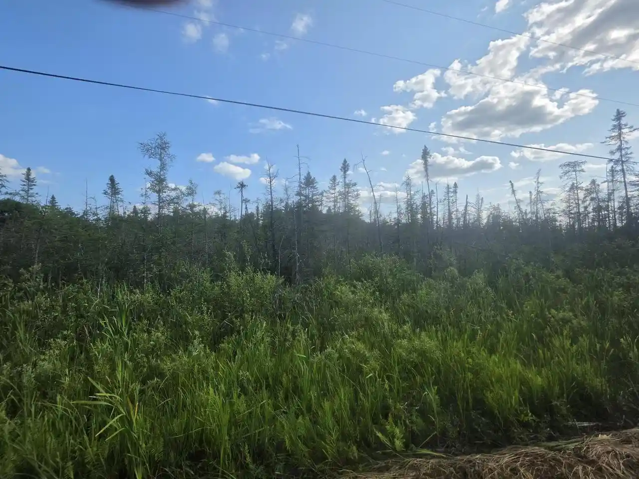 1st image of 3099 Acre Broennenberg Road Road, Wausaukee, WI 54177 | MLS# 1973569