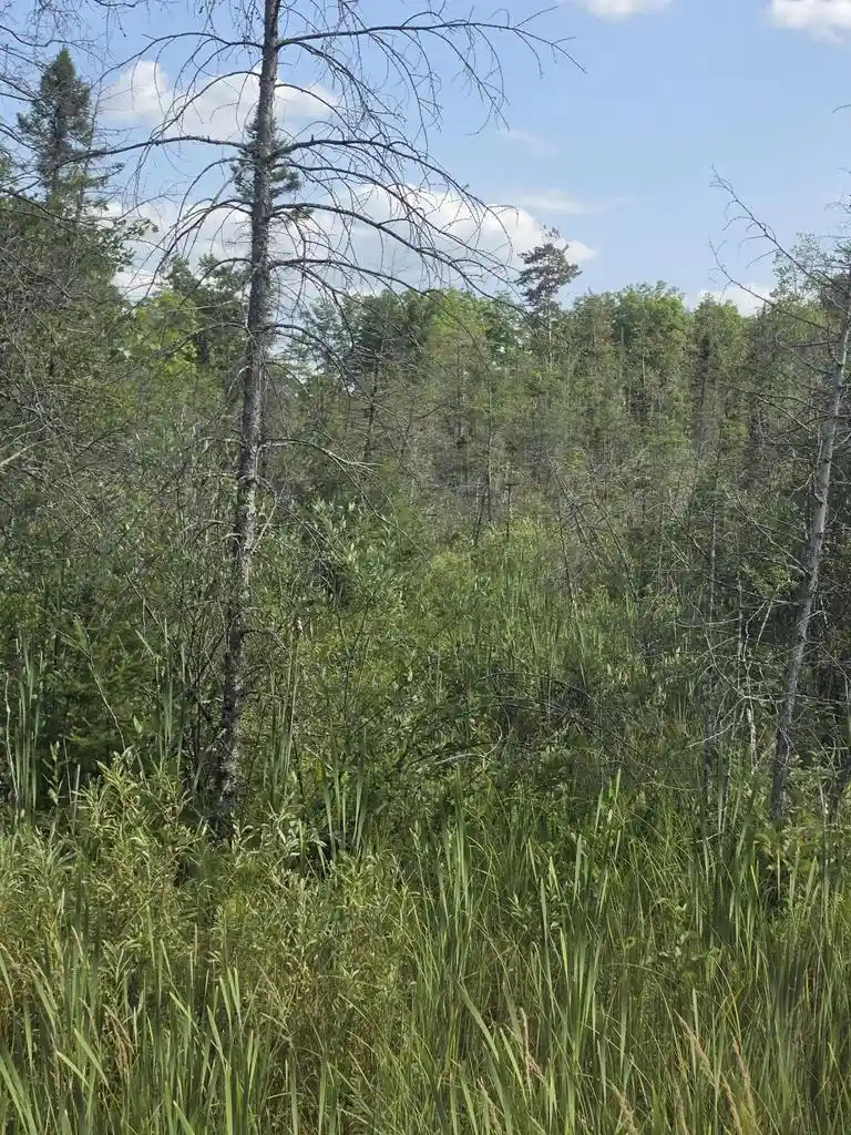 2nd image of 3099 Acre Broennenberg Road Road, Wausaukee, WI 54177 | MLS# 1973569