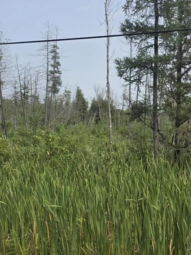 4th image of 3099 Acre Broennenberg Road Road, Wausaukee, WI 54177 | MLS# 1973569