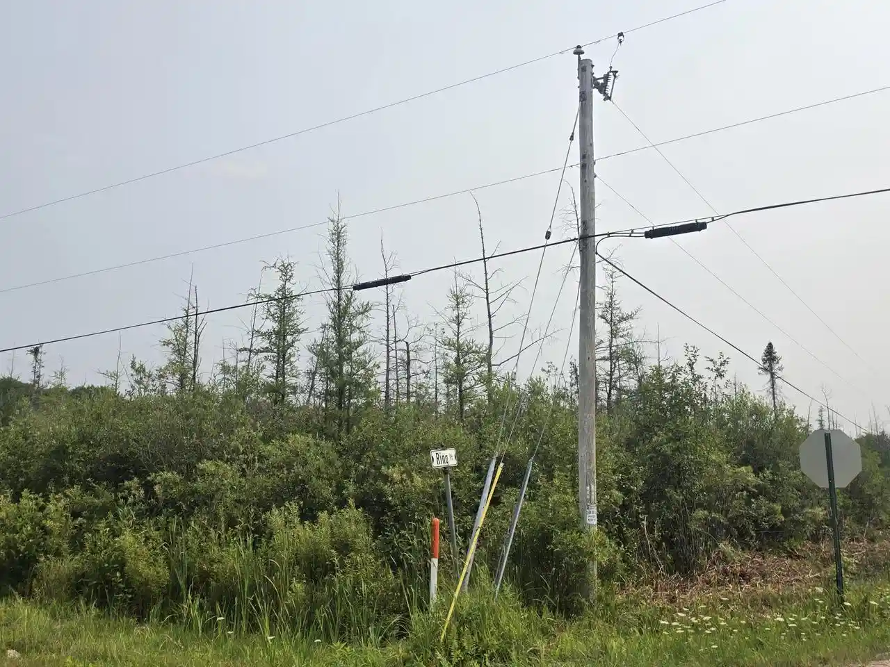 5th image of 3099 Acre Broennenberg Road Road, Wausaukee, WI 54177 | MLS# 1973569