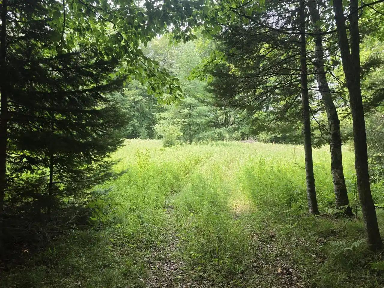 1st image of 3730 Acres Old Rail Road Road, Wausaukee, WI 54177 | MLS# 1973592