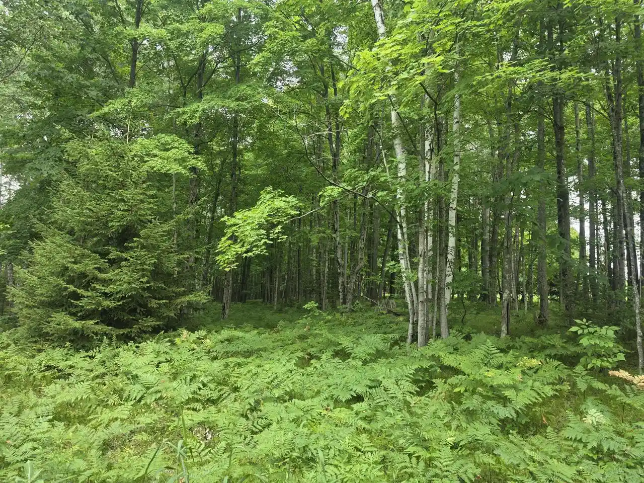 2nd image of 3730 Acres Old Rail Road Road, Wausaukee, WI 54177 | MLS# 1973592