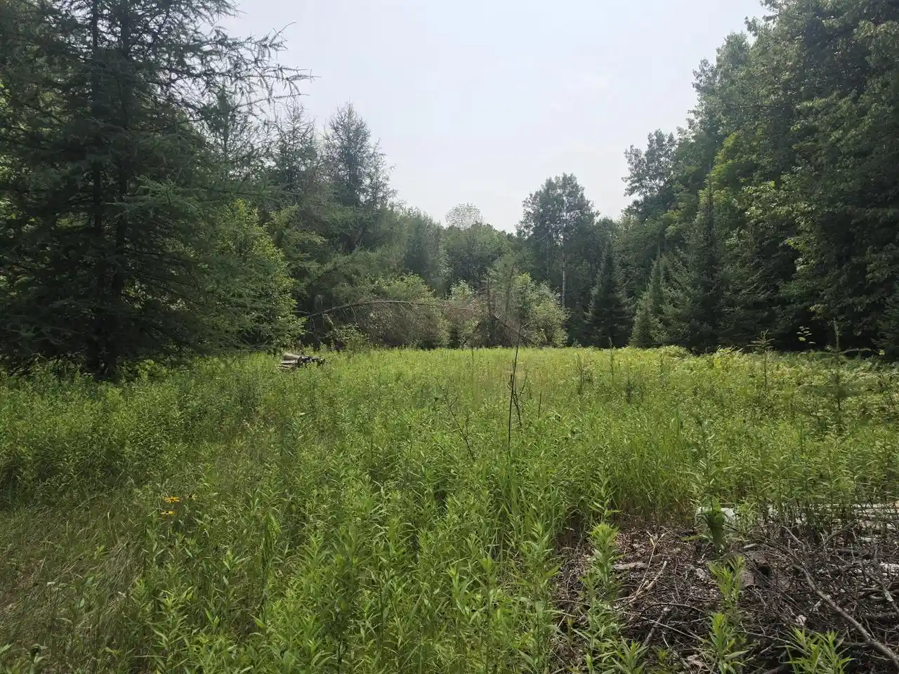3rd image of 3730 Acres Old Rail Road Road, Wausaukee, WI 54177 | MLS# 1973592