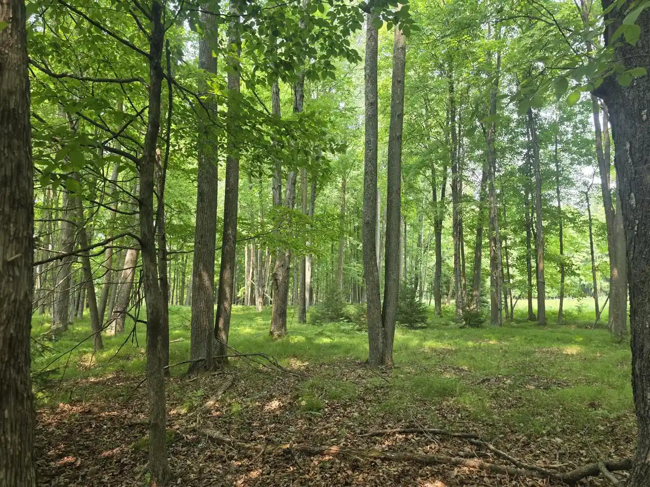 4th image of 3730 Acres Old Rail Road Road, Wausaukee, WI 54177 | MLS# 1973592