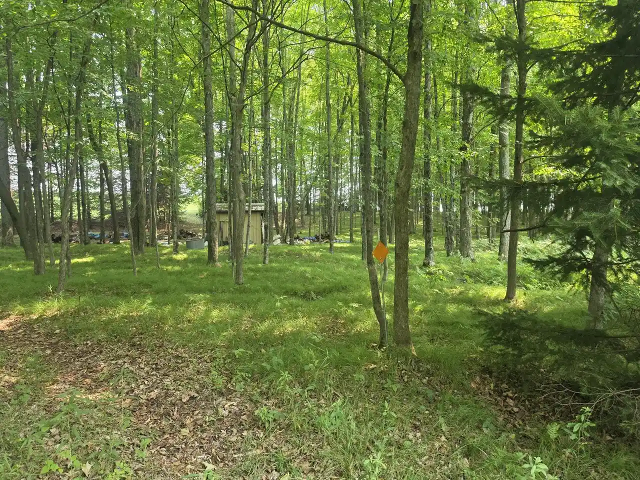 5th image of 3730 Acres Old Rail Road Road, Wausaukee, WI 54177 | MLS# 1973592