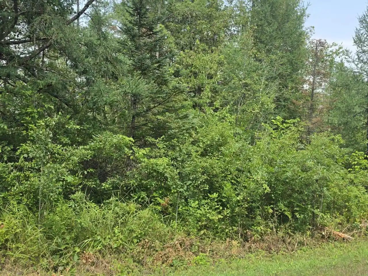 9th image of 3730 Acres Old Rail Road Road, Wausaukee, WI 54177 | MLS# 1973592