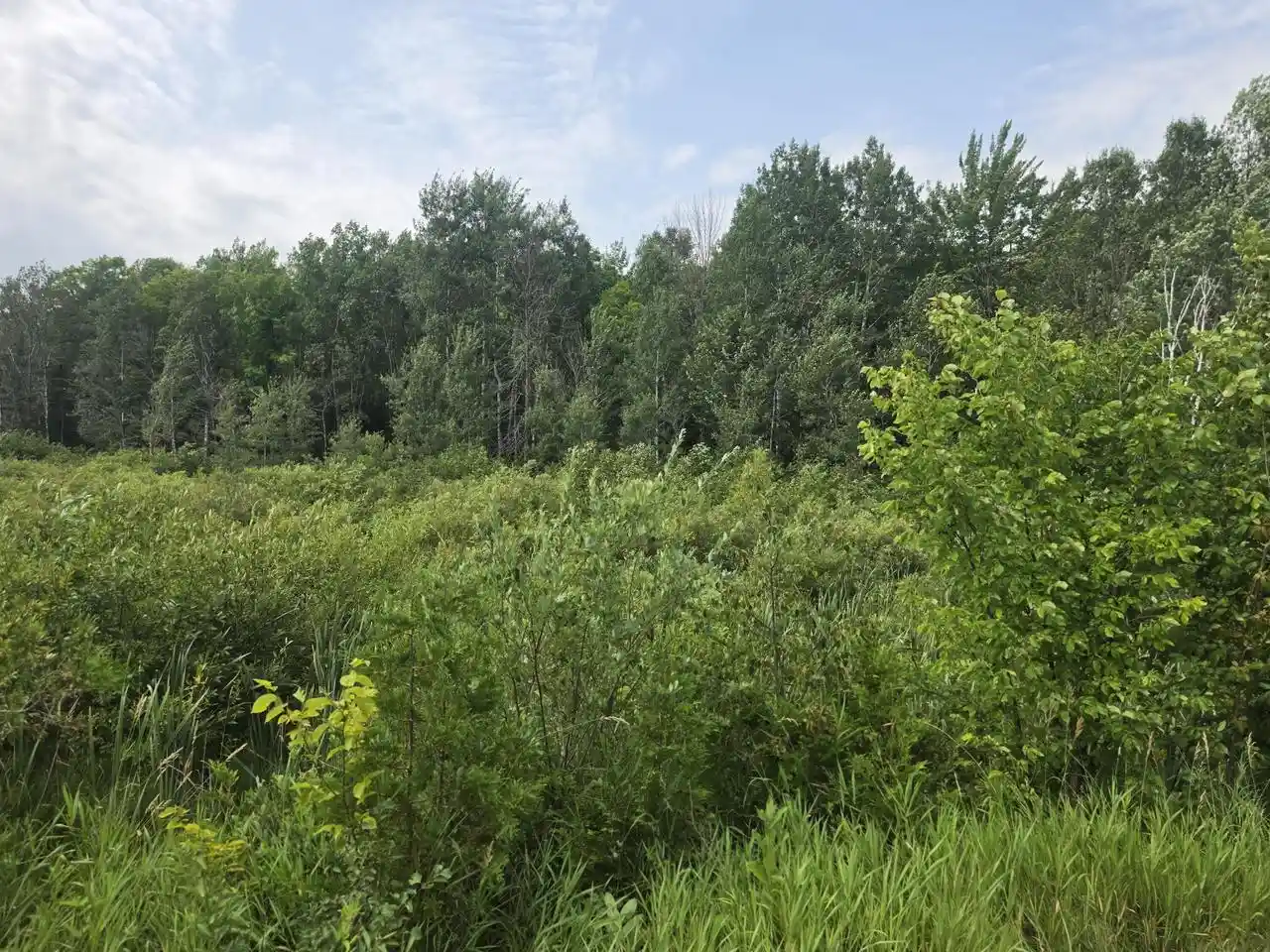 2nd image of 3810 Acres Old Rail Road Road, Wausaukee, WI 54177 | MLS# 1973605