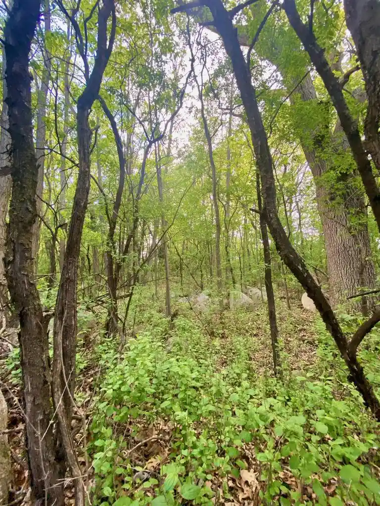 1st image of Hillside Dr Dr, Weyauwega, WI 54983 | MLS# 50329910