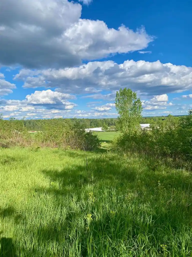 2nd image of Hillside Dr Dr, Weyauwega, WI 54983 | MLS# 50329910