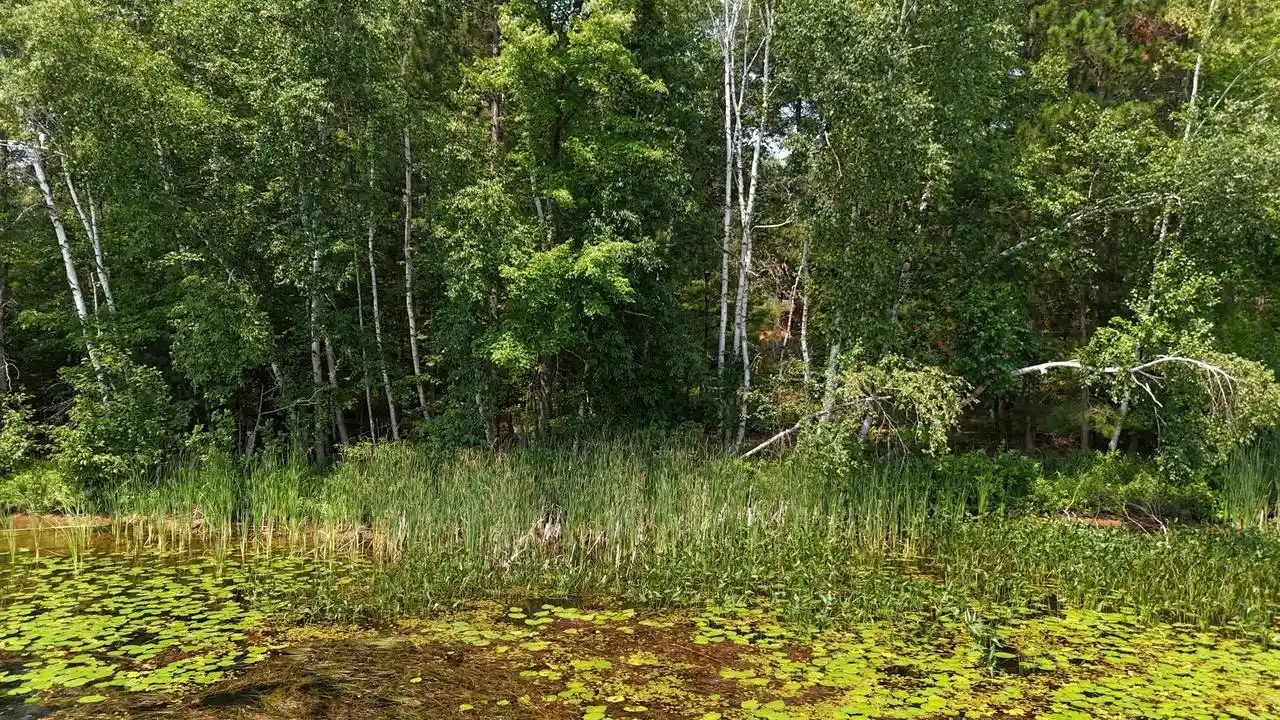 Photo 4 of Land for sale at W1453 Spirit Ridge Lane Lane, Keshena, WI 54135 | MLS# 50329936 | Listing updated on 2026-09-14