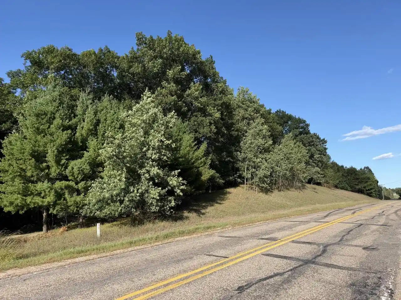 Photo 3 of Land for sale at 273 Acre Lot County Rd Gg, Iola, WI 54945 | MLS# 1973695 | Listing updated on 2026-10-01