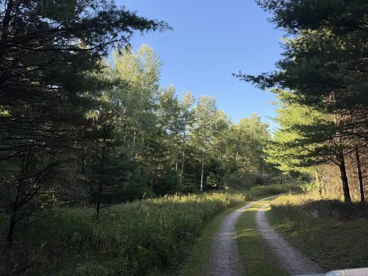 Photo 4 of Land for sale at 273 Acre Lot County Rd Gg, Iola, WI 54945 | MLS# 1973695 | Listing updated on 2026-10-01