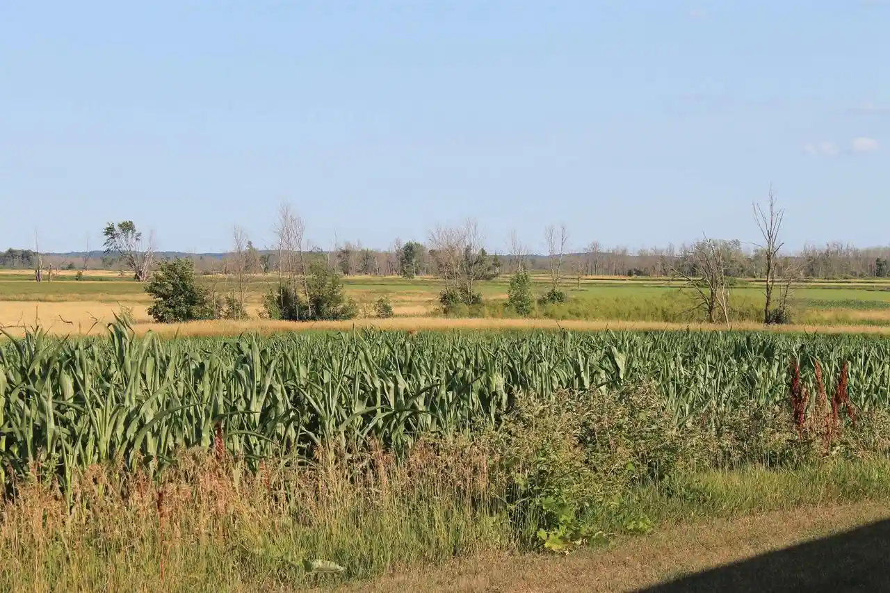 5th image of Cty Rd Jj, Reedsville, WI 54230 | MLS# 50329953