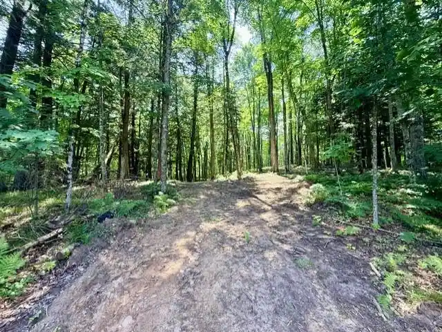 2nd image of 8359w State Hwy 77, Hayward, WI 54843 | MLS# 1603709