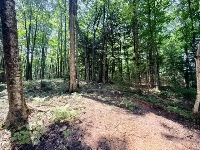 3rd image of 8359W State Hwy 77, Hayward, WI 54843 | MLS# 1603709