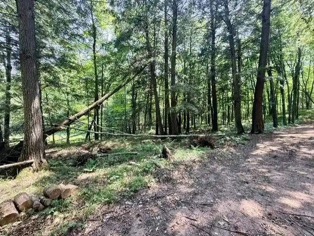 4th image of 8359W State Hwy 77, Hayward, WI 54843 | MLS# 1603709