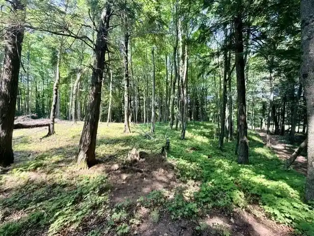6th image of 8359w State Hwy 77, Hayward, WI 54843 | MLS# 1603709