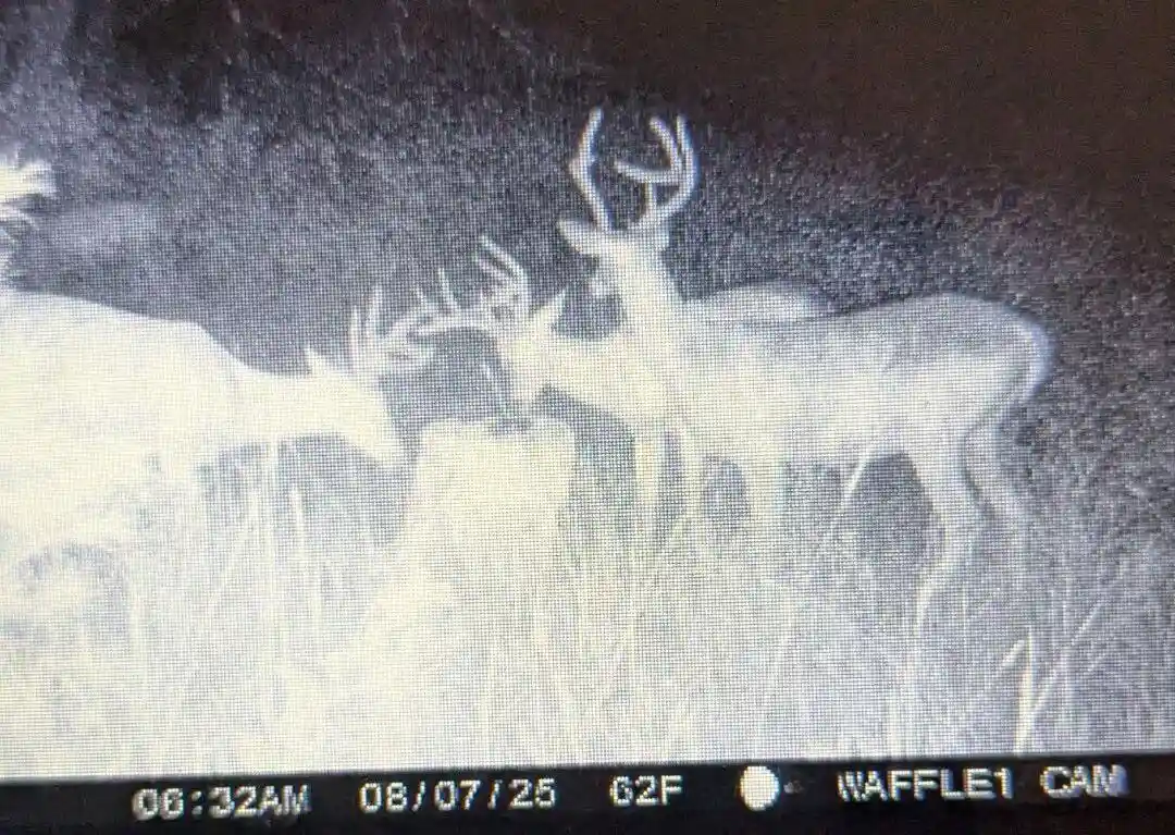 5th image of Lot 22 River Road Road, Black River Falls, WI 54615 | MLS# 1973754