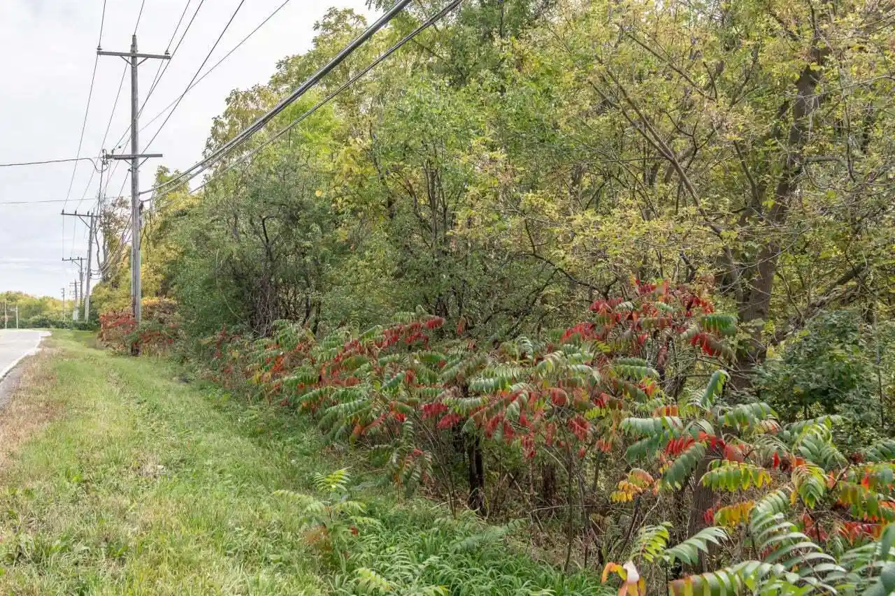 2nd image of Lt1 Saylesville Road Road, Waukesha, WI 53189 | MLS# 1973760