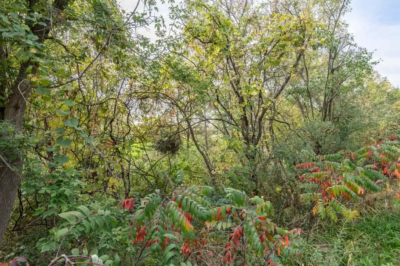 Photo 3 of Land for sale at Lt1 Saylesville Road Road, Waukesha, WI 53189 | MLS# 1973760 | Listing updated on 2026-08-04
