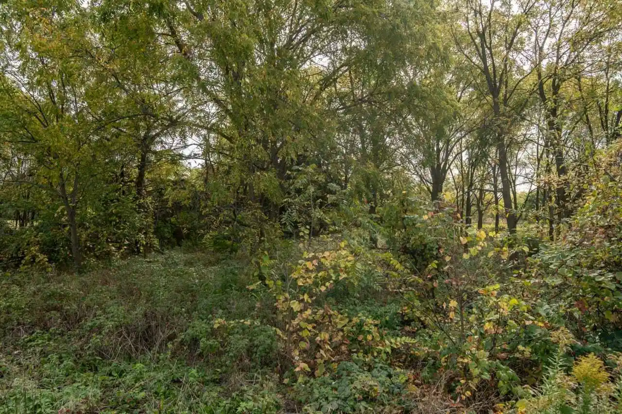 Photo 4 of Land for sale at Lt1 Saylesville Road Road, Waukesha, WI 53189 | MLS# 1973760 | Listing updated on 2026-08-04