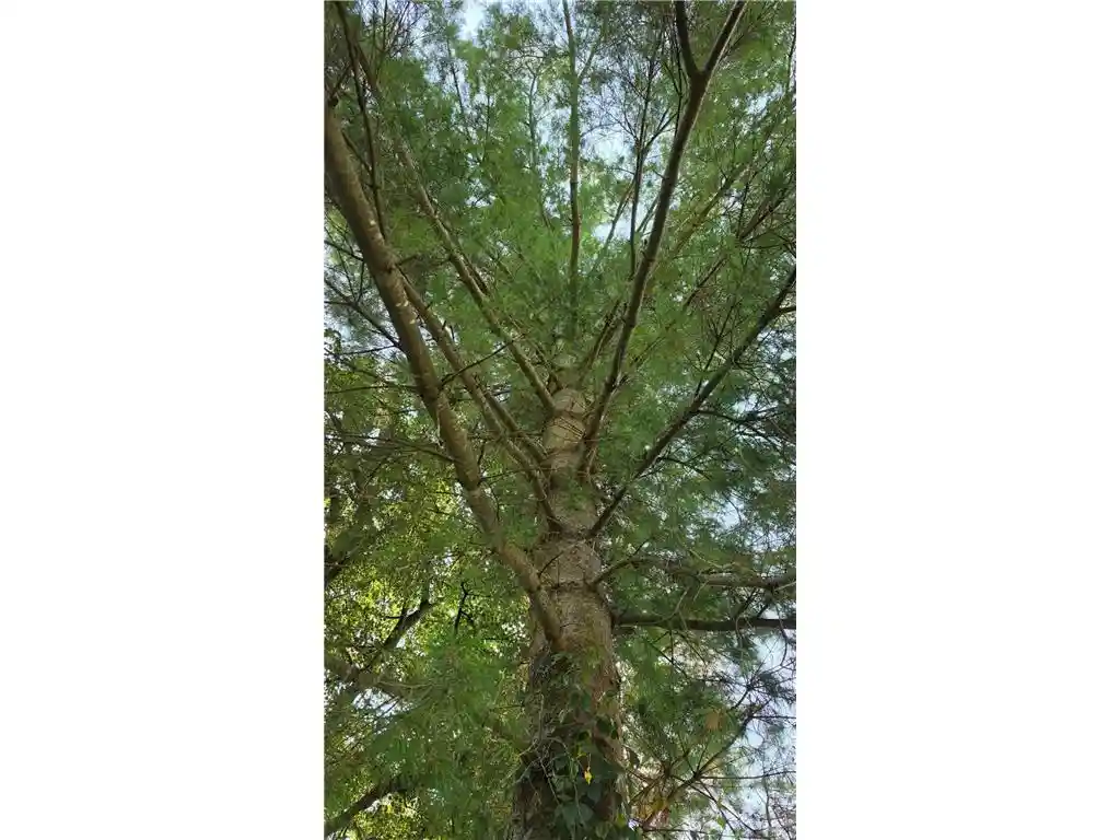 Photo 2 of Land for sale at Tbd Lot 1 W Fourth Street Street, New Richmond, WI 54017 | MLS# 7117878 | Listing updated on 2026-09-03