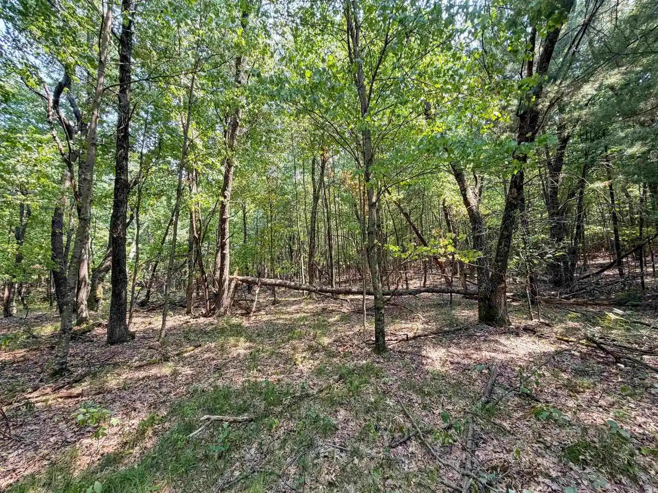 2nd image of 000 N Pine Creek Road Road, Black River Falls, WI 54615 | MLS# 2029166