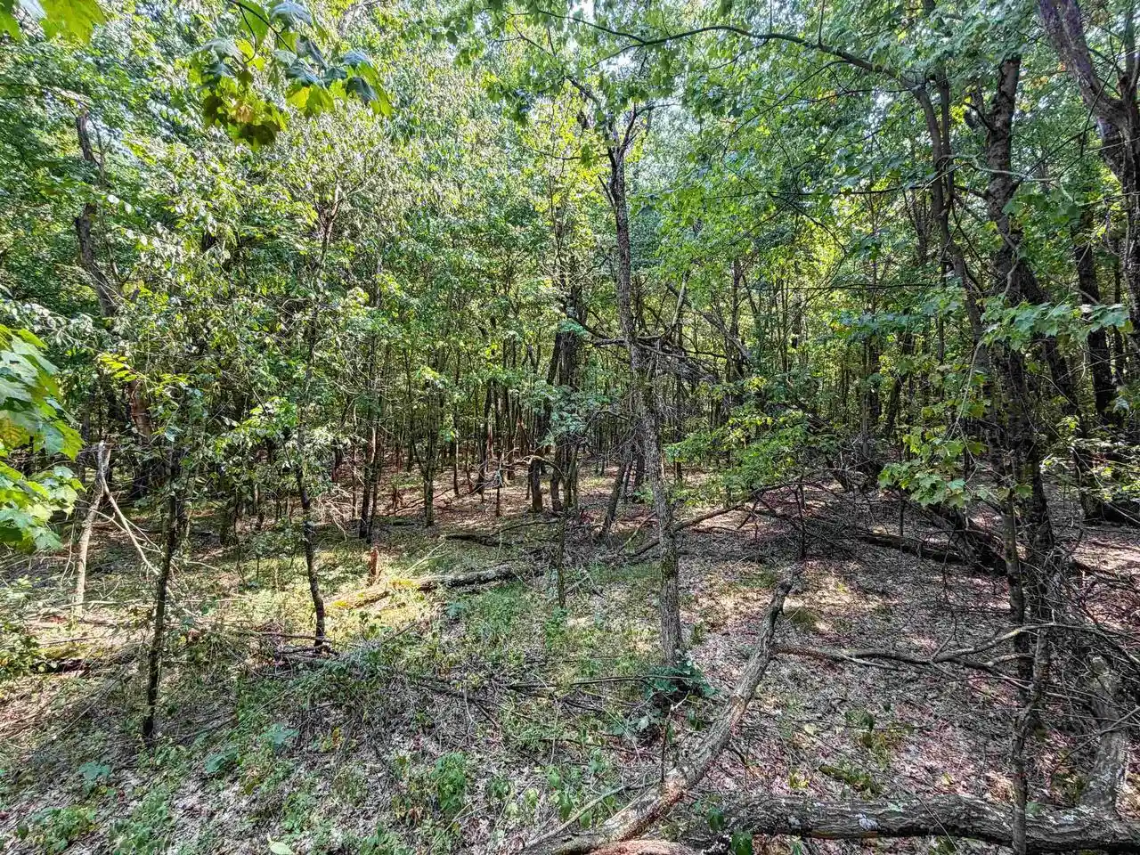 3rd image of 000 N Pine Creek Road Road, Black River Falls, WI 54615 | MLS# 2029166