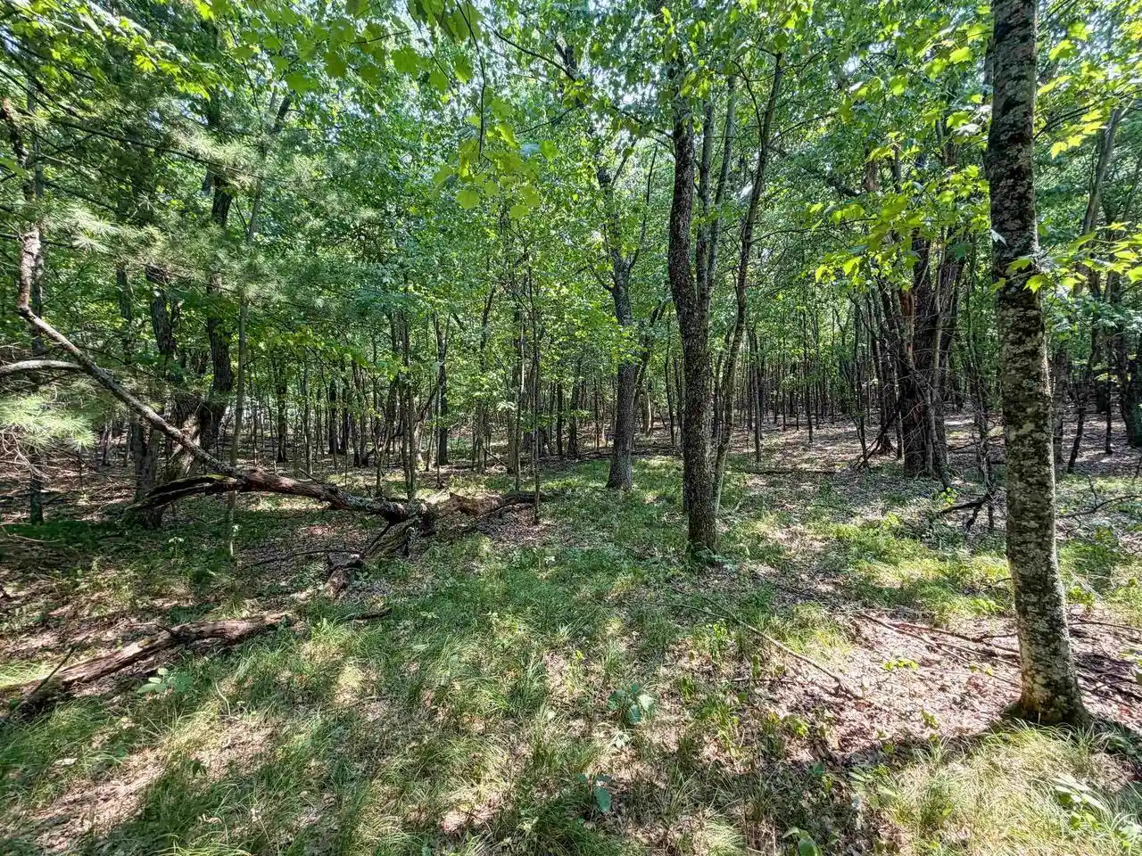 4th image of 000 N Pine Creek Road Road, Black River Falls, WI 54615 | MLS# 2029166