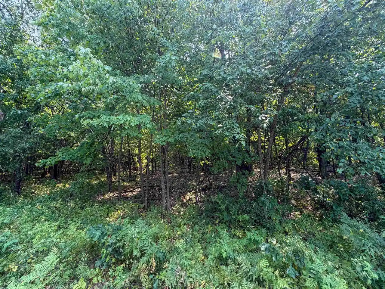 5th image of 000 N Pine Creek Road Road, Black River Falls, WI 54615 | MLS# 2029166