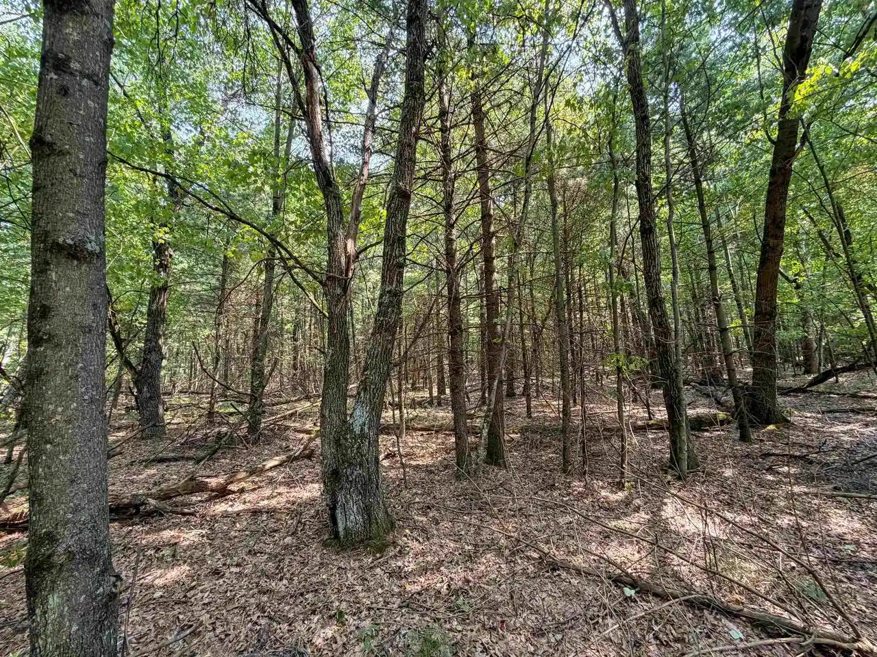 16th image of 000 N Pine Creek Road Road, Black River Falls, WI 54615 | MLS# 2029166