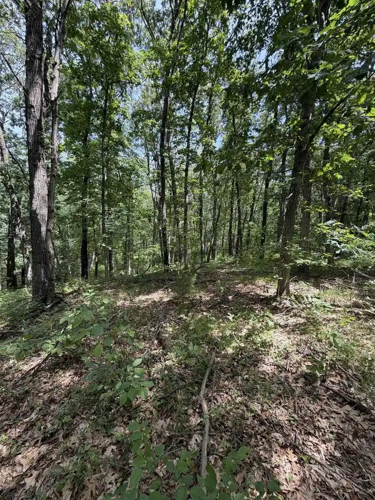 2nd image of Lots 26 27 W Limits Road Road, Lyndon Station, WI 53944 | MLS# 2029167