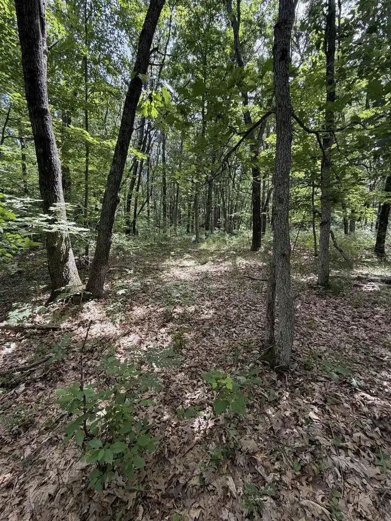 3rd image of Lots 26-27 W Limits Road Road, Lyndon Station, WI 53944 | MLS# 2029167