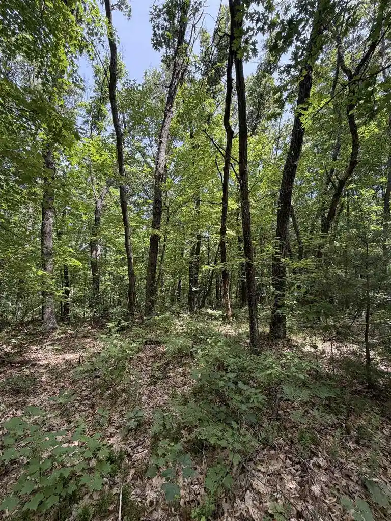 4th image of Lots 26-27 W Limits Road Road, Lyndon Station, WI 53944 | MLS# 2029167