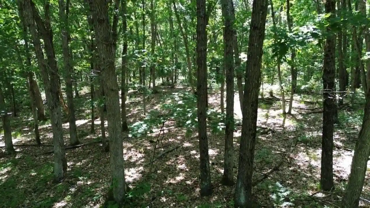 16th image of Lots 26 27 W Limits Road Road, Lyndon Station, WI 53944 | MLS# 2029167
