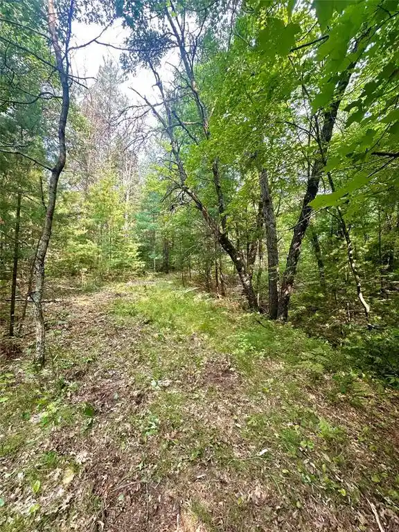4th image of 0 County Rd N, Augusta, WI 54722 | MLS# 1603727
